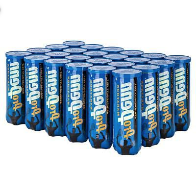 Pro Penn Marathon Regular Duty case | 24 cans | 72 balls