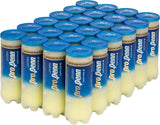 Pro Penn Marathon Plus Regular Duty 3B Can Case (72 Balls)
